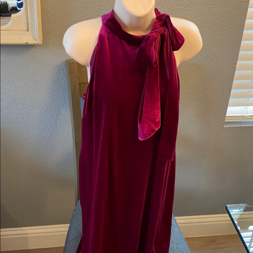 Raspberry Velvet Halter Tie Neck Dress 12